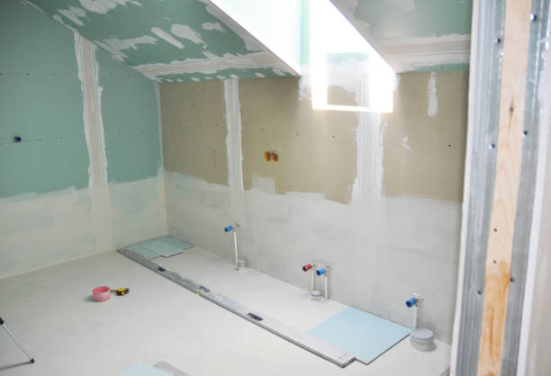 Best Basement Mold Removal  in North Judson, IN