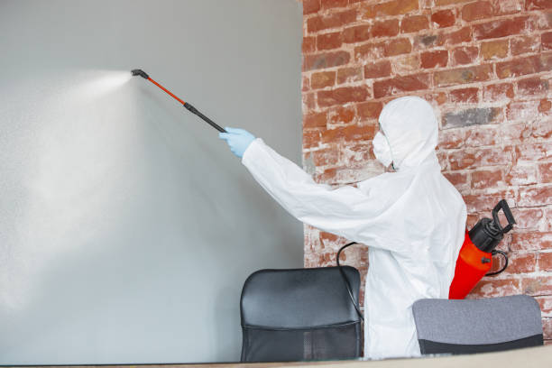 Asbestos and Lead Testing During Mold Inspection in North Judson, IN