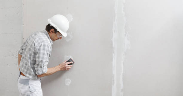 Best Mold-Related Health Consultation  in North Judson, IN