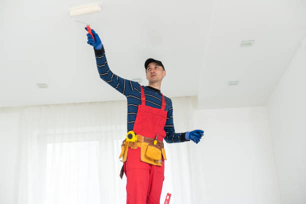 Best Crawl Space Mold Remediation  in North Judson, IN