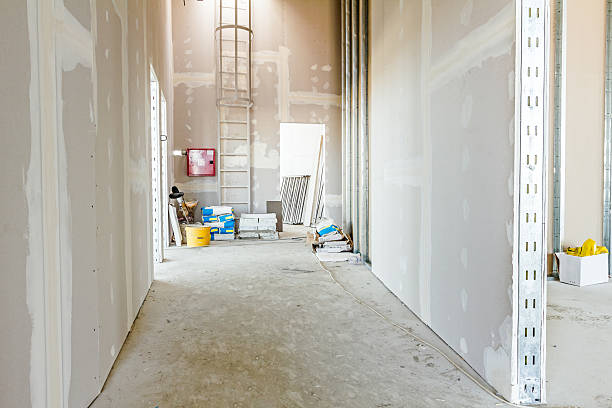 Best Biohazard Mold Removal  in North Judson, IN